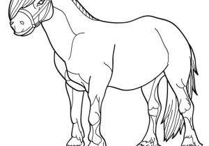 Coloriage à Imprimer De Poney Coloriage204 Coloriage De Poney à Imprimer