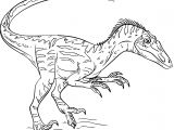 Coloriage A Imprimer Dinausaure Coloriage Dinosaure Velociraptor à Imprimer Sur Coloriages