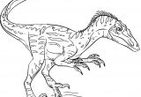 Coloriage A Imprimer Dinosaure Coloriage Dinosaure Velociraptor à Imprimer Sur Coloriages