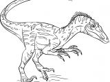 Coloriage A Imprimer Dinosaure Coloriage Dinosaure Velociraptor à Imprimer Sur Coloriages