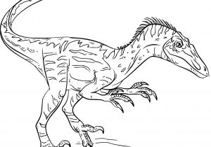 Coloriage A Imprimer Dinosaure Coloriage Dinosaure Velociraptor à Imprimer Sur Coloriages