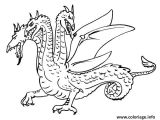 Coloriage A Imprimer Dragon 3 Coloriage Dragon Avec Trois Tetes Dessin