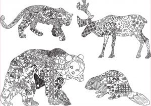Coloriage A Imprimer Dure Imprimer Mandala Animaux Dessin A Imprimer Gratuit