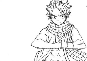 Coloriage à Imprimer Fairy Tail Desenhos De Animes Para Colorir Desenhos Para Colorir