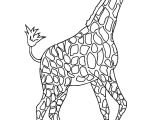 Coloriage A Imprimer Girafe Coloriage à Imprimer
