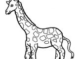Coloriage A Imprimer Girafe Coloriage Girafe à Imprimer Gratuitement