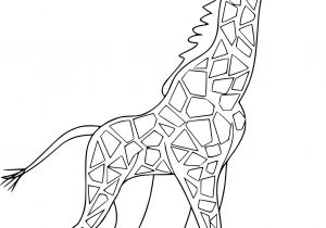 Coloriage A Imprimer Girafe Coloriage Girafe Difficile à Imprimer Sur Coloriages Fo