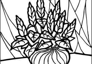 Coloriage A Imprimer Gratuit Bouquet De Fleurs Bouquet De Fleurs Coloriage De Bouquets A Imprimer