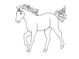 Coloriage à Imprimer Gratuit Cheval Coloriage Cheval Dessin