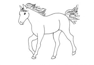 Coloriage à Imprimer Gratuit Cheval Coloriage Cheval Dessin