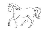 Coloriage à Imprimer Gratuit Cheval Coloriage Vrac Cheval Jecolorie