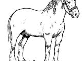Coloriage à Imprimer Gratuit Cheval Horse Race Champion In Horses Coloring Page Netart