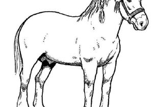 Coloriage à Imprimer Gratuit Cheval Horse Race Champion In Horses Coloring Page Netart
