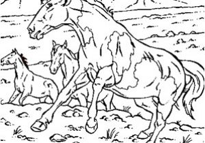 Coloriage à Imprimer Gratuit Cheval Sauvage 20 Dessins De Coloriage Cheval   Imprimer   Imprimer