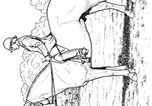 Coloriage à Imprimer Gratuit Cheval Sauvage Coloriage Cheval   Imprimer