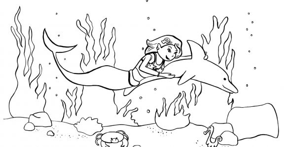 Coloriage à Imprimer Gratuit Sirene Et Dauphin Coloriage   Imprimer Gratuit Coloriage Dauphin   Imprimer
