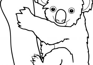 Coloriage A Imprimer Koala Coloriage Koala à Imprimer
