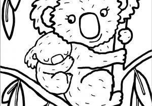 Coloriage A Imprimer Koala Dessin De Coloriage Koala à Imprimer Cp