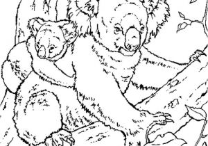 Coloriage A Imprimer Koala Koala Coloriage Koala En Ligne Gratuit A Imprimer Sur