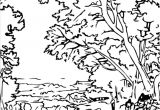 Coloriage à Imprimer Nature Dessin Nature A Imprimer Gratuit