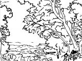 Coloriage à Imprimer Nature Dessin Nature A Imprimer Gratuit