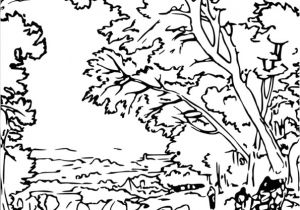 Coloriage à Imprimer Nature Dessin Nature A Imprimer Gratuit