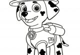 Coloriage A Imprimer Pat Patrouille Coloriage Pat Patrouille 30 Dessins à Imprimer