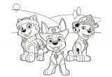 Coloriage A Imprimer Pat Patrouille Coloriage Pat Patrouille 30 Dessins à Imprimer