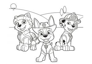 Coloriage A Imprimer Pat Patrouille Coloriage Pat Patrouille 30 Dessins à Imprimer