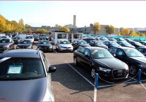 Coloriage A Imprimer Peach 14 Nouveau Coloriage Luigi Stock