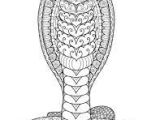 Coloriage à Imprimer Serpent 19 Meilleures Images Du Tableau Mandala Animaux