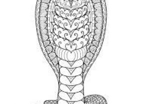 Coloriage à Imprimer Serpent 19 Meilleures Images Du Tableau Mandala Animaux
