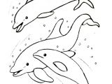Coloriage à Imprimer Sirene Et Dauphin Coloriages   Colorier Les Baleines