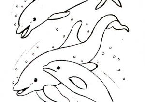 Coloriage à Imprimer Sirene Et Dauphin Coloriages   Colorier Les Baleines