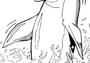 Coloriage à Imprimer Sirene Et Dauphin Inspirant Dessin A Imprimer Dauphin Gratuit – Mademoiselleosaki