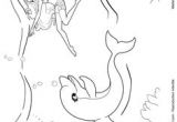 Coloriage à Imprimer Sirene Et Dauphin Les 340 Meilleures Images Du Tableau Coloriages Barbie Sur Pinterest