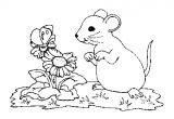 Coloriage à Imprimer souris souris 13 Coloriage De souris Coloriages Pour Enfants