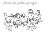 Coloriage à Imprimer Sur Le Printemps Coloriage Vive Le Printemps Oiseau