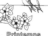 Coloriage à Imprimer Sur Le Printemps Dessin De Printemps