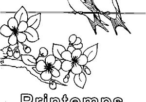 Coloriage à Imprimer Sur Le Printemps Dessin De Printemps