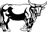 Coloriage à Imprimer Taureau Taureau 56 Animaux – Coloriages à Imprimer