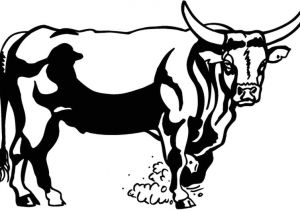 Coloriage à Imprimer Taureau Taureau 56 Animaux – Coloriages à Imprimer