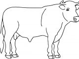 Coloriage à Imprimer Taureau Unique Coloriages Vaches A Imprimer