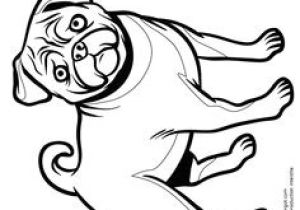 Coloriage A Imprimer Titi Et Grosminet Les 191 Meilleures Images De Coloriages Animaux De Pagnie