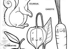 Coloriage à Telecharger Gratuit Retour   L Illustration En Douceur Avec Un Cahier De Coloriages