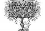 Coloriage Adulte Arbre De Vie Johanna Basford Graphic Design From Her Book "secret Garden