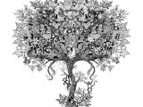 Coloriage Adulte Arbre De Vie Johanna Basford Graphic Design From Her Book "secret Garden
