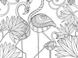Coloriage Adulte Flamant Rose 552 Best Mandala Images On Pinterest
