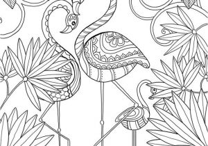 Coloriage Adulte Flamant Rose 552 Best Mandala Images On Pinterest
