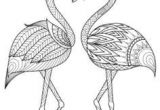 Coloriage Adulte Flamant Rose Craft Haven Flamingo Free Coloring Page